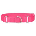 Mirage Pet Products Plain Nylon Martingale Dog CollarMedium Hot Pink 124-1M HPKMD